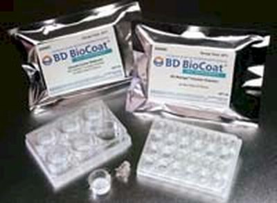 BioCoat™ Matrigel™ Invasion Chambers