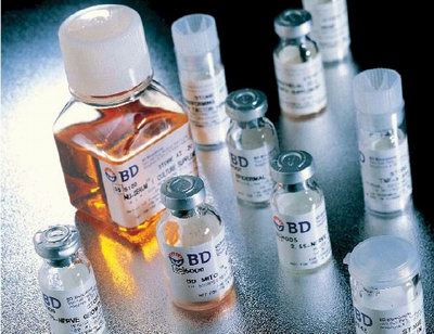 BioCoat™ Smooth Muscle Cell Proliferation Environment