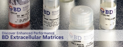 BioCoat™ Tissue Culture Coatings