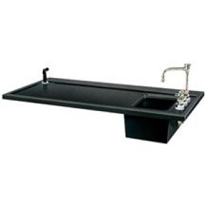Protector® Work Surface with Sink