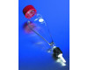 Pyrex® Separatory Funnels with PTFE Valve and Threaded Screw Cap