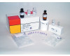 FastRNA® Pro Soil-Indirect Kit