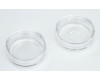 Nunc™ Glass Bottom Dishes