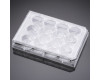 Falcon&#174; Multiwell Cell Culture Plates
