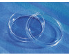 1-Corning&#174; Cell Culture Dishes, a Krackeler Value Brand