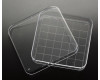 Simport&#174; Square Petri Dish with Grid