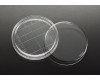 Simport&#174; Contact Dishes with Grid