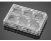 Corning&#174; BioCoat&#8482; Variety Pack Multiwell Plates