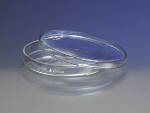 Corning® Pyrex® Petri Culture Dishes