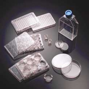 Corning® BioCoat™ Collagen IV Multiwell &amp; Assay Plates