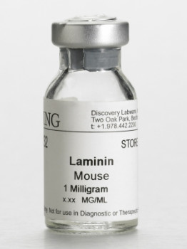 Corning® Laminin