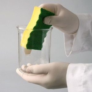 Cleanware™ Glassware Scrubbing Sponge