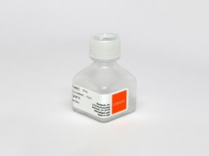 Corning® ITS (Insulin-Transferrin-Selenium)