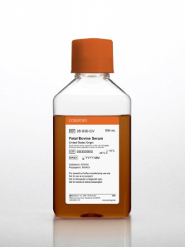 Corning® Donor Horse Serum