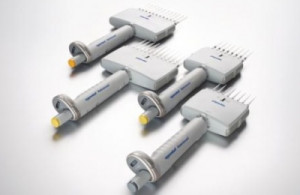 Eppendorf Reference® 2 Multichannel Pipettes