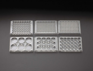 Celltreat® Multiple Well Plates, Non-Treated