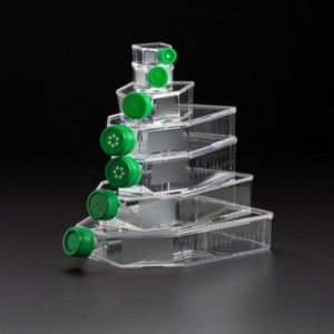 Celltreat® Tissue Culture Flasks, a Krackeler Value Brand