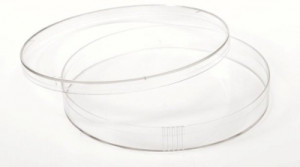 Nunc™ Polystyrene Petri Dishes