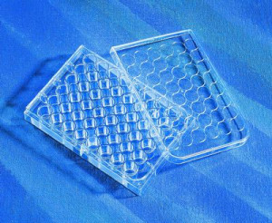 6.9mL Well Volume Corning 3512 Polystyrene Sterile Clear Flat Bottom TC-Treated Multiple Well Plate with 12 Wells Bulk Packed Case of 100 