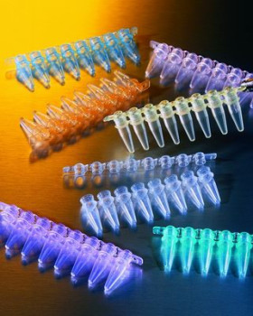 0.2mL Clear Polypropylene PCR Tubes, 8 Well Strips