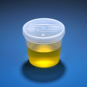 Wide Mouth Sample Container with Snap Cap