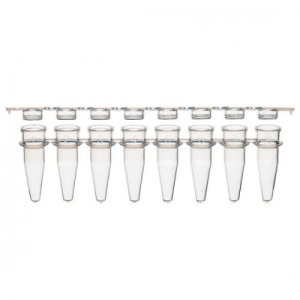 Globe Scientific Diamond® PCR Strip Tubes and Caps