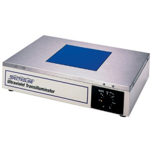 Spectroline® Model TC-312R Transilluminator