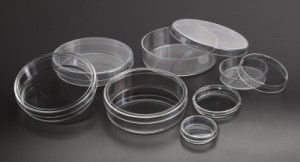 Simport® Sterile Petri Dishes