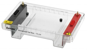 Axygen® HGB-15 Horizontal Gel Box System