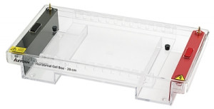 Axygen® HGB-20 Horizontal Gel Box System