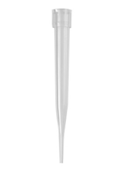 Axygen® MicroVolume 0.5-30µL Pipet Tips, a Krackeler Value Brand