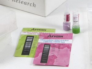 Axygen® DNA Markers