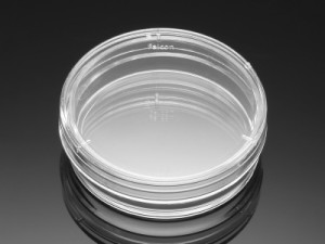 Corning® BioCoat™ Collagen I Culture Dishes