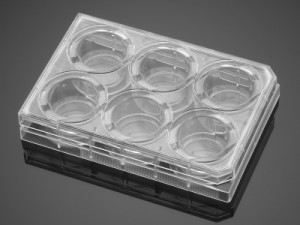 Corning® BioCoat™ Variety Pack Multiwell Plates