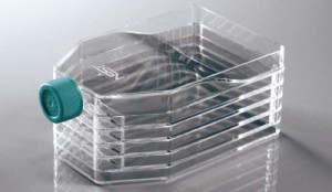 Nest 5-Layer Cell Culture Flasks