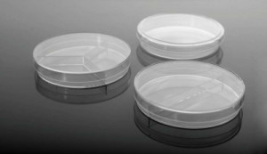 Nest Petri Dishes